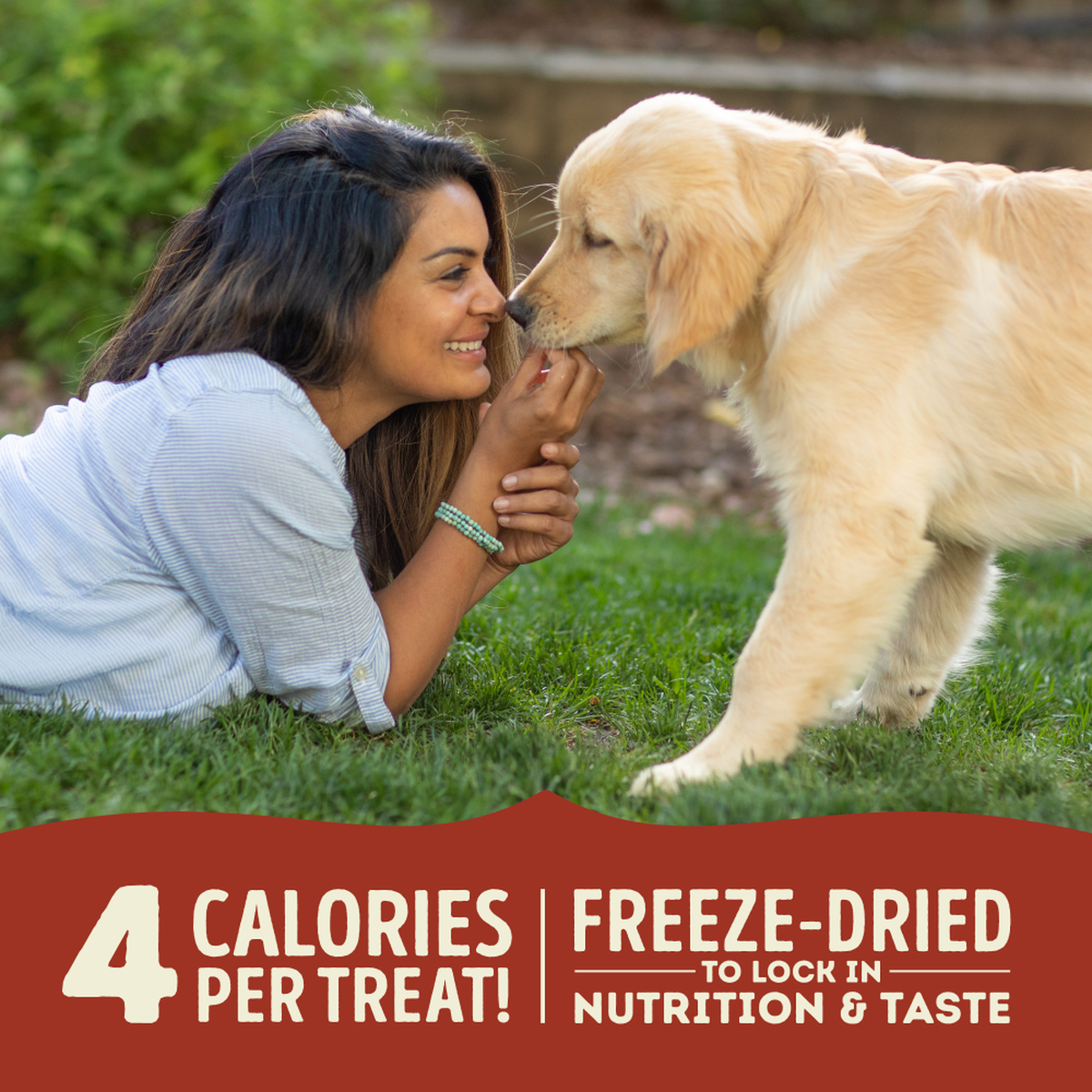 null - Product thumbnail 5.0